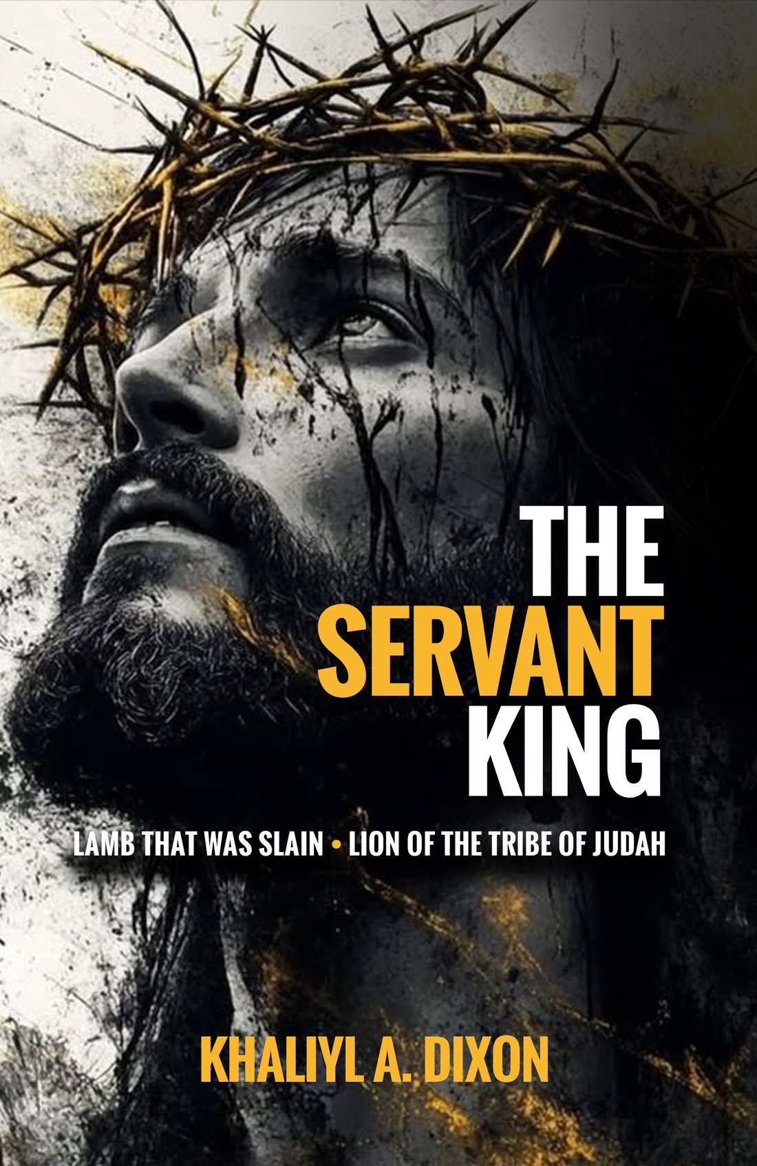 Book cover design for The Servant King by Khaliyl A. Dixon